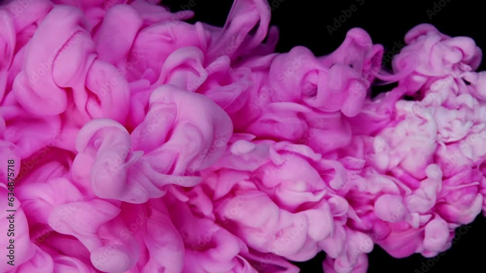 Whimsical Cloud Dance: Pink Ink and White Paint Merging in Fluid Art on Black Whimsical Cloud Dance: Pink Ink and White Paint Merging in Fluid Art on Black
