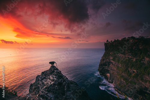 Amidst the amber embrace of sunset, a monkey stands sentinel on a rocky pinnacle. Overlooking the vast ocean below, this unexpected guardian seems to ponder the mysteries of nature's grand tapestry.