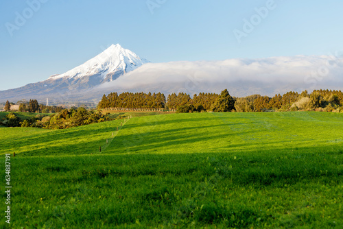 Lush green grass with mountain backdrop
