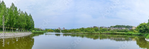 新緑に包まれた公園のパノラマ情景