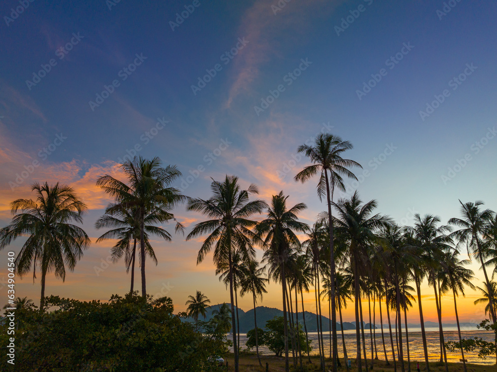 Aerial view coconut fields in the morning glow in orange light..Orange light penetrates the horizon above the coconut forest. coconut fields in the morning glow in orange light..Laem Had Beach