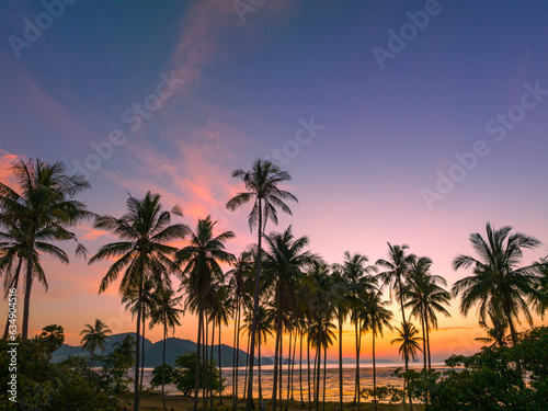 Aerial view coconut fields in the morning glow in orange light..Orange light penetrates the horizon above the coconut forest. coconut fields in the morning glow in orange light..Laem Had Beach © Narong Niemhom