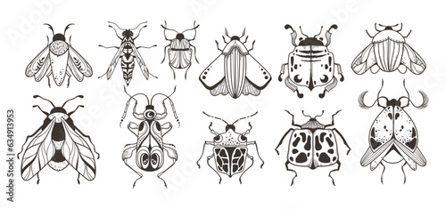 Large beetles and flies hand drawn collection in black line, mystic celestial insects with esoteric ornament bundle, magic bugs clip art set made in vector, wimthical cosmic isolated elements set