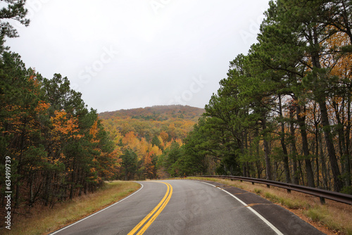 Talimena Scenic Byway - Fall Color