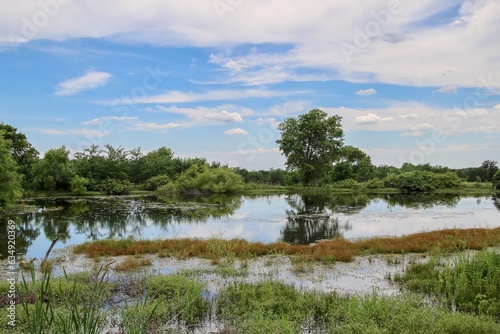 Reflections in a Pond - Oklahoma