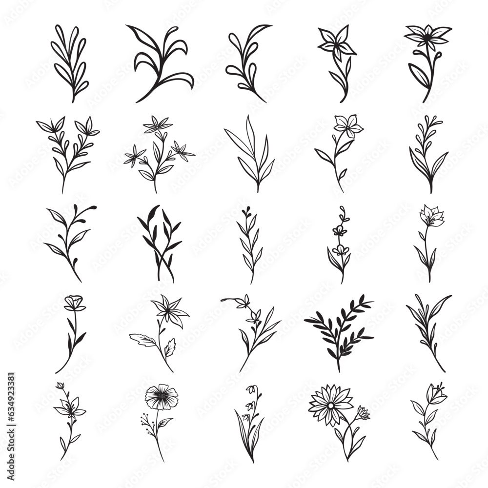 Set of hand drawn leaf and flower
Set of hand drawn leaf and flower