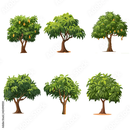 Mango tree set, Trees and mangoes, one of the most expensive fruits. Vector illustration