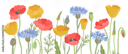 red poppy, golden Eschscholzia and blue cornflower field flowers, vector drawing wild plants at white background, hand drawn botanical illustration © cat_arch_angel