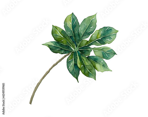 leaves