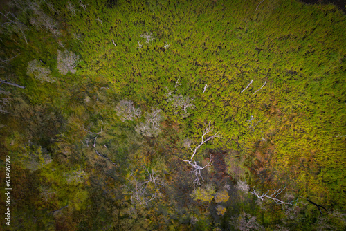 Fototapeta Naklejka Na Ścianę i Meble -  aerial over lake