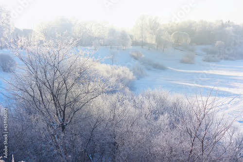 Winter landscape. Trees and plants covered with snow. The beauty of snow covered paths. Snowfall and cooling in tourist areas.