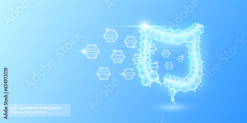 Probiotics multivitamins with fiber in hexagon absorbed into the intestine. Best nutrients supplement for healthy intestine. Health care medical innovation. Human organ translucent low poly. Vector.