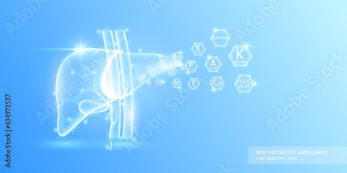 Vitamins minerals iron, zinc and folic acid in hexagon absorbed into the liver. Best nutrients supplement for healthy liver. Health care medical innovation. Human organ translucent low poly. Vector.