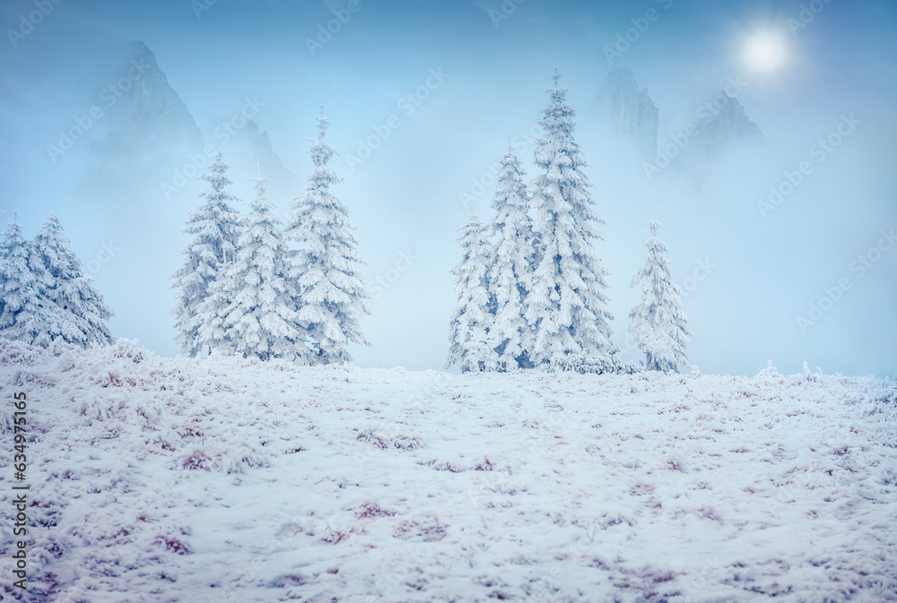 Fototapeta premium Foggy winter landscape of snowy mountains valley with huge cliifs on background. Frosty outdoor scene of frosty forest. Happy New Year celebration concept.