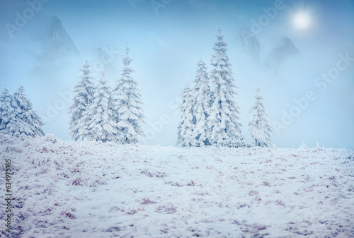 Foggy winter landscape of snowy mountains valley with huge cliifs on background. Frosty outdoor scene of frosty forest. Happy New Year celebration concept.