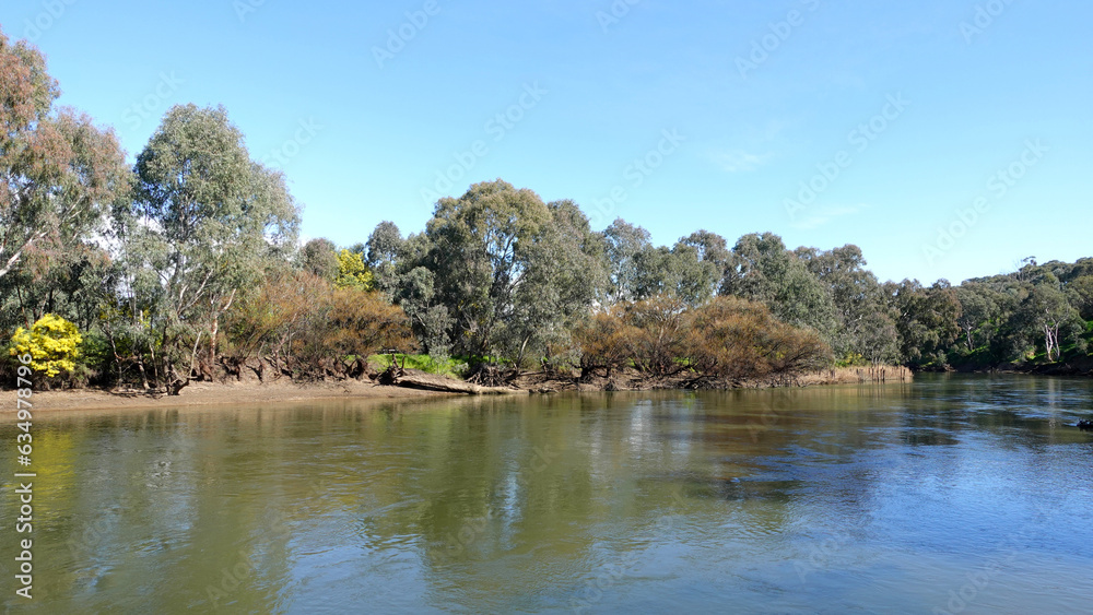 A beautiful green forest alongside the Murray River is Australia's longest river at Albury, New South Wales.