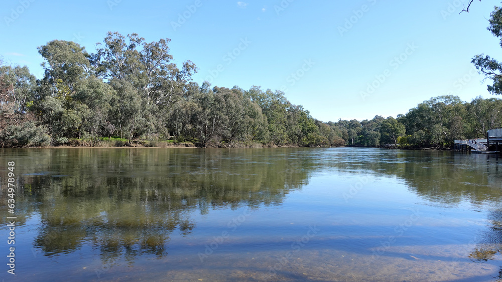 A beautiful green forest alongside the Murray River is Australia's longest river at Albury, New South Wales.