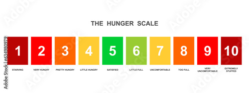 Horizontal hunger scale. Food fullness levels. Ghrelin and leptin balance meter isolated on white background. Appetite regulation infographic for weight loss. Vector flat illustration