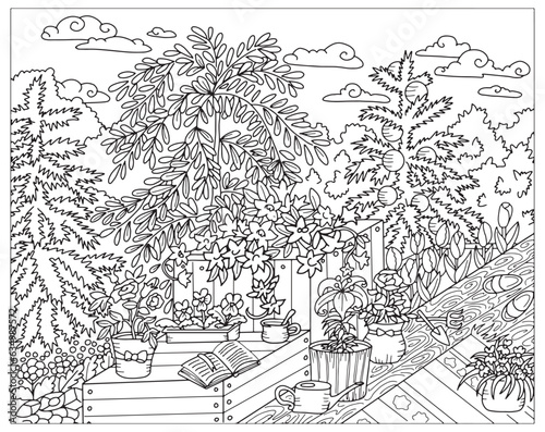Vector coloring page with plants and flowers in pots on wooden pation in the garden. Black and white line art illustration with summer concept and symbols.