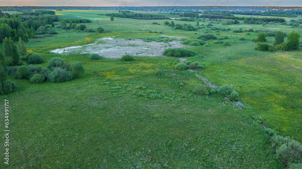 Springtime wetland in fresh green meadow Springtime wetland in fresh green meadow
