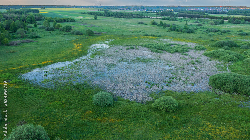 Springtime flooding meadow nearby Hajnowka