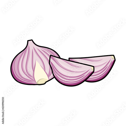 Onion slice isolated on white background. illustration of an onion