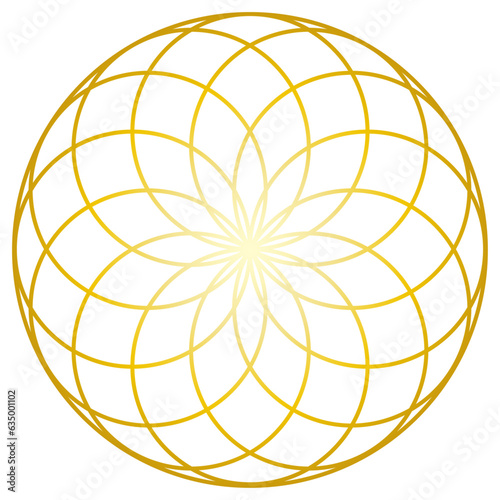 金色トーラスの神聖幾何学模様