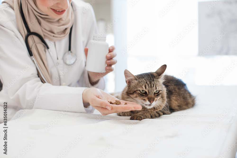 Vet in headscarf offering medications to feline patient