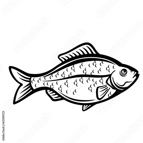 fish isolated on white background