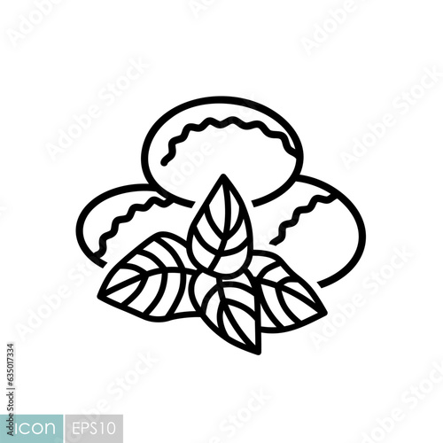 Mozzarella cheese with basil vector icon