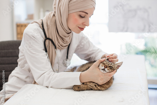 фотографія Arabian vet inspecting ears of mature cat in treatment room