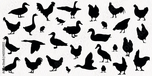 Vector silhouette set of chickens - hens, poultry, roosters, cock, baby, duck, goose chicks in farm