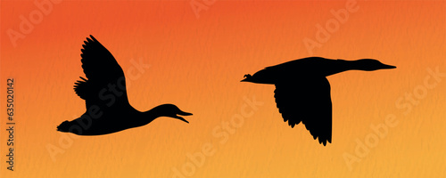 Vector silhouette set of flying duck, goose, coots, loons, grebes