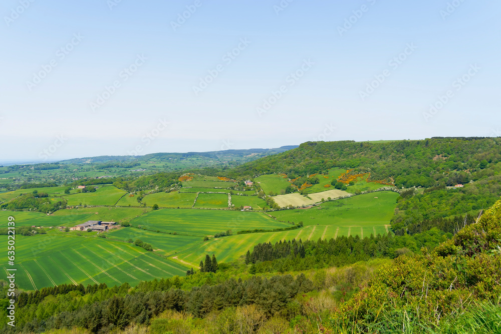 Fototapeta premium Across the wooded slopes of Sutton Bank near Thirsk.
