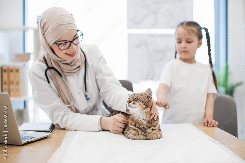 Doctor observing cat while girl distracting pet at vet's Doctor observing cat while girl distracting pet at vet's
