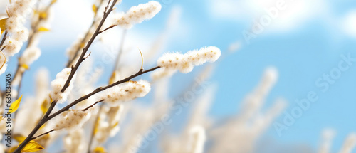 Close up view of catkin with blurred background 