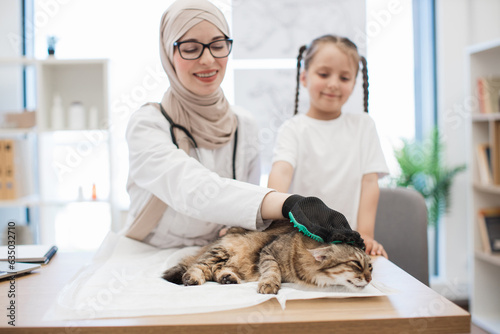 Fototapeta Naklejka Na Ścianę i Meble -  Arabian vet stroking cat with grooming glove near owner