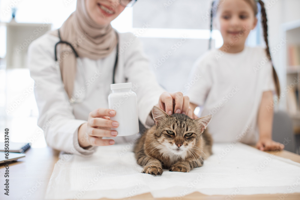 Animal doctor putting pill bottle near cat in vet office