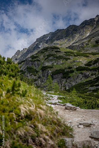 mountain river in the mountains