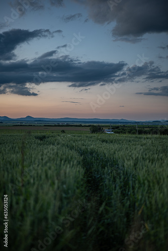Sunset over the field