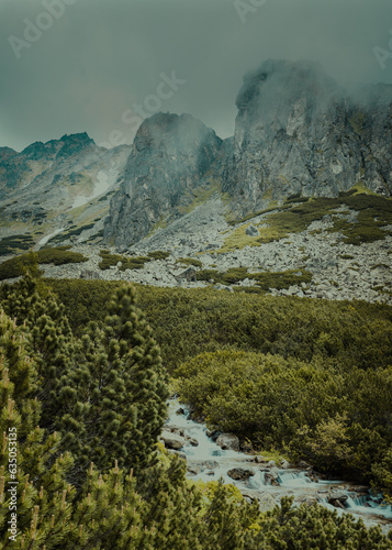landscape in the morning