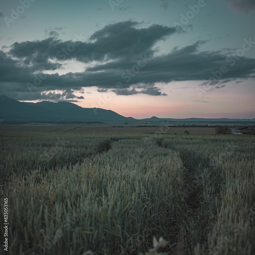 sunrise over the mountains