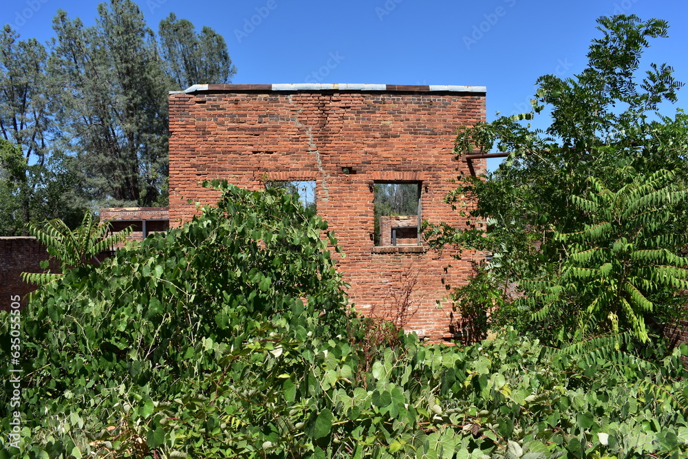 Brick Ruins Engulfed in Green Vegetation Shasta, California