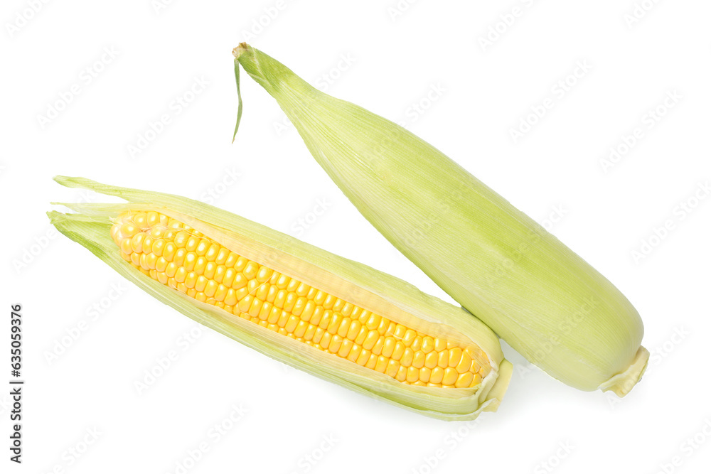 Two ears of corn isolated on white, top view Two ears of corn isolated on white, top view