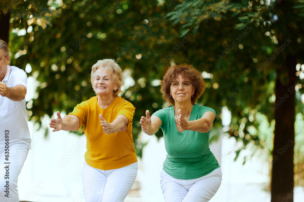 Group of elderly people, man and women training together outdoors on warm summer morning, doing exercises. Concept of sport and health, active lifestyle, age, wellness, body, care