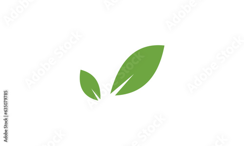 green leaves isolated on white © Sono