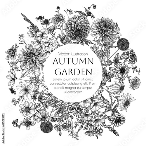 Vector frame autumn garden. Dahlia, cosmos, zinnia, marigold, calendula, rudbeckia, gladiolus, datura, eryngium, allium, chrysanthemum, lobelia in engraving style