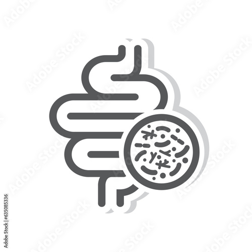 Intestines with a sign of good bacterial flora.