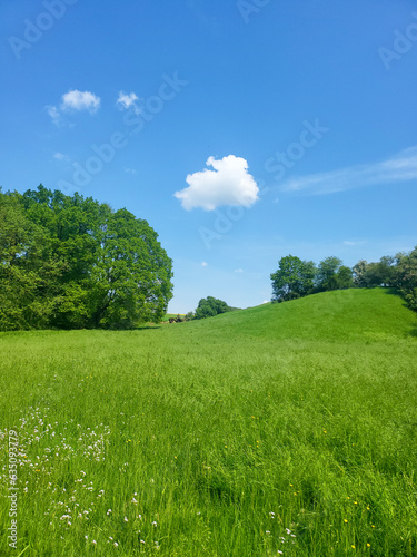 Ein grünes Feld in Ratingen