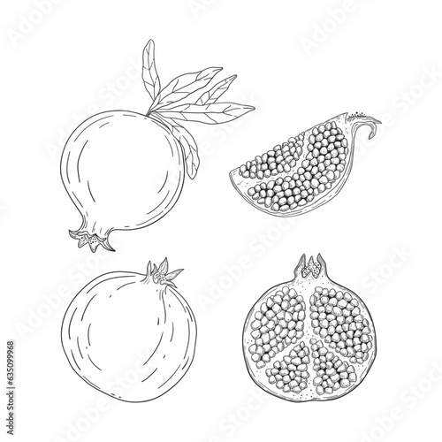 Hand drawn pomegranate fruits set